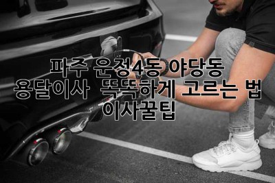 파주 운정4동 야당동 용달이사 🚚💨 똑똑하게 고르는 법! #이사꿀팁