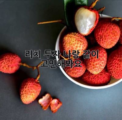 리치 투자? 나랑 같이 고민해봐요! 😉