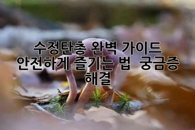 수정탄총 완벽 가이드🔫 안전하게 즐기는 법 & 궁금증 해결!