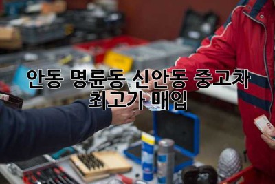 안동 명륜동 신안동 중고차 최고가 매입!