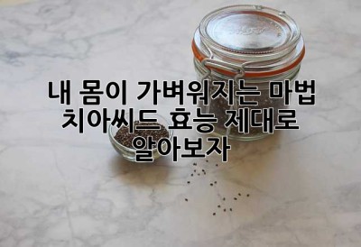 내 몸이 가벼워지는 마법? 치아씨드 효능 제대로 알아보자!