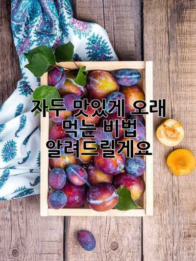 자두 맛있게 오래 먹는 비법, 알려드릴게요!