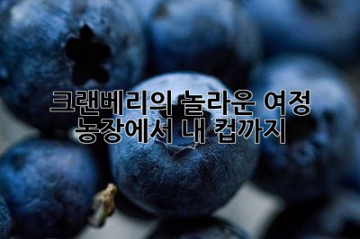 크랜베리의 놀라운 여정: 농장에서 내 컵까지!