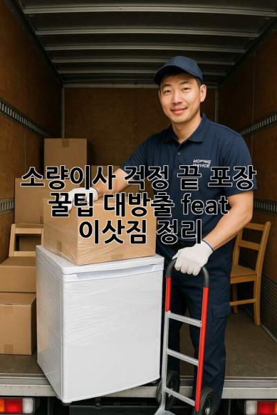 소량이사📦 걱정 끝! 포장 꿀팁 대방출🍯 (feat. 이삿짐 정리)