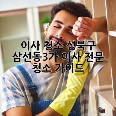 이사 청소: 성북구 삼선동3가 이사 전문 청소 가이드