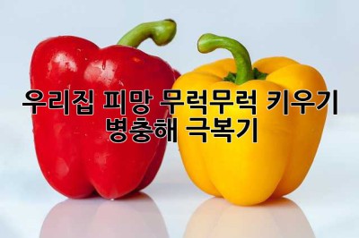 우리집 피망, 무럭무럭 키우기: 병충해 극복기!