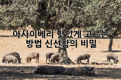 아사이베리 맛있게 고르는 방법: 신선함의 비밀🤫