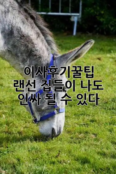 #이사후기꿀팁 🍯 랜선 집들이, 나도 인싸 될 수 있다! ✨