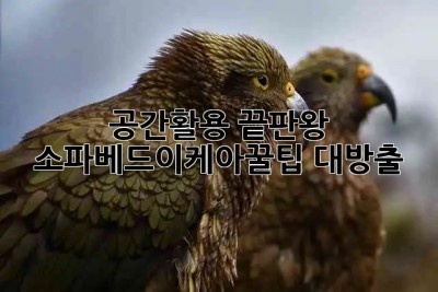 공간활용 끝판왕! 소파베드이케아🛋️꿀팁 대방출