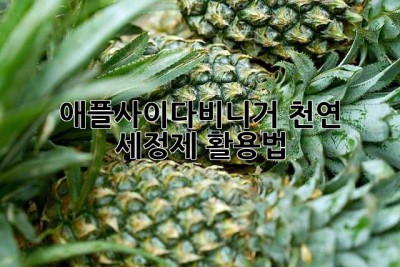 애플사이다비니거 천연 세정제 활용법