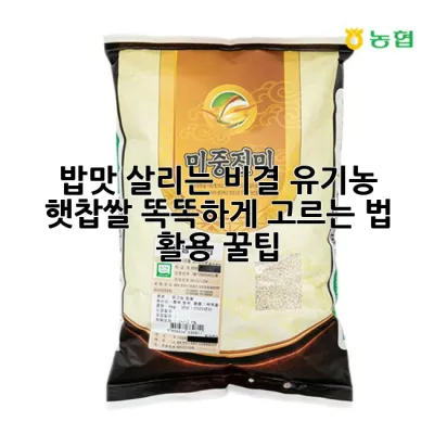 밥맛 살리는 비결! 유기농 햇찹쌀 똑똑하게 고르는 법 & 활용 꿀팁🍚