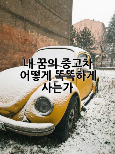 내 꿈의 중고차, 어떻게 똑똑하게 사는가?