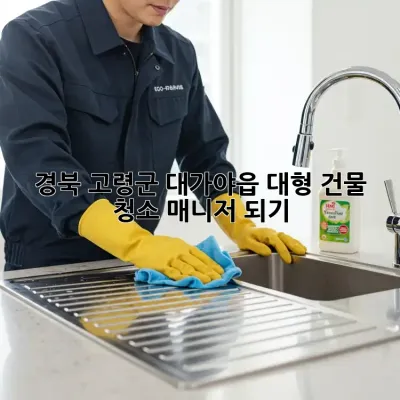 경북 고령군 대가야읍 대형 건물 청소 매니저 되기