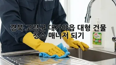 경북 고령군 대가야읍 대형 건물 청소 매니저 되기