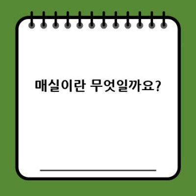 매실의 모든 것: 효능, 재배, 활용법 총정리