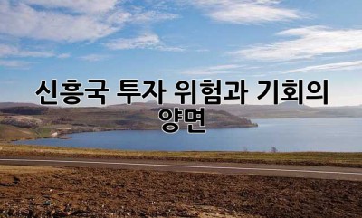 신흥국 투자, 위험과 기회의 양면