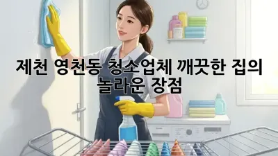 제천 영천동 청소업체, 깨끗한 집의 놀라운 장점!