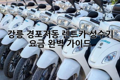 강릉 경포/저동 렌트카 성수기 요금 완벽 가이드
